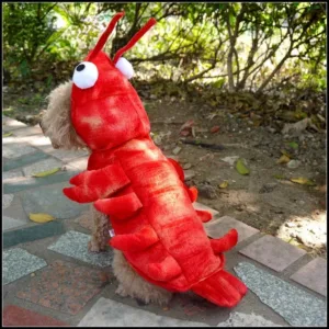 Alternative view of Winter Dog Lobster Costume